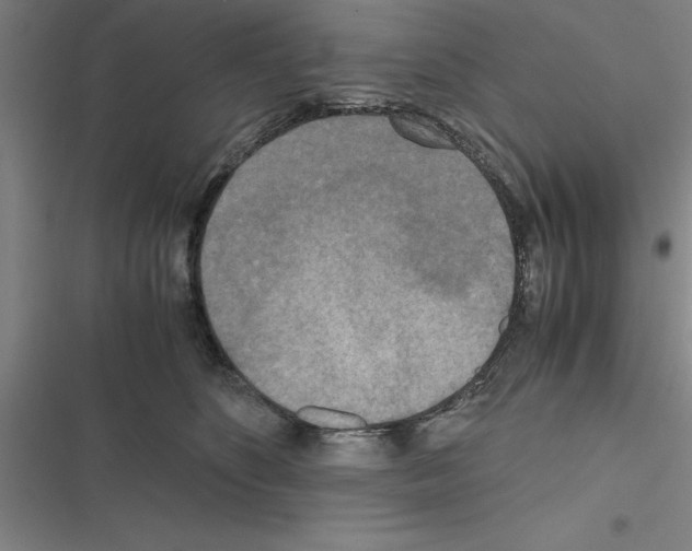 X0000116580516201001211307