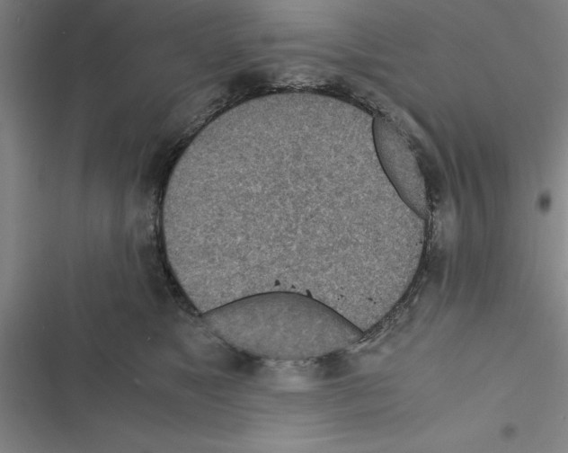 X0000116580517201001211307