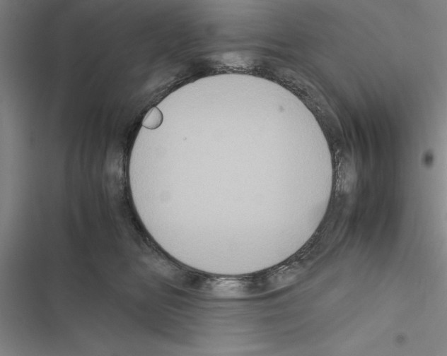 X0000116580518201001211307
