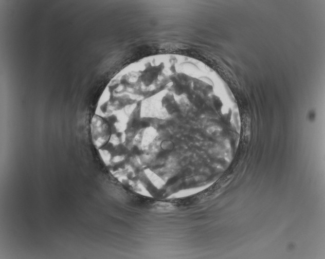 X0000116580519201001211307