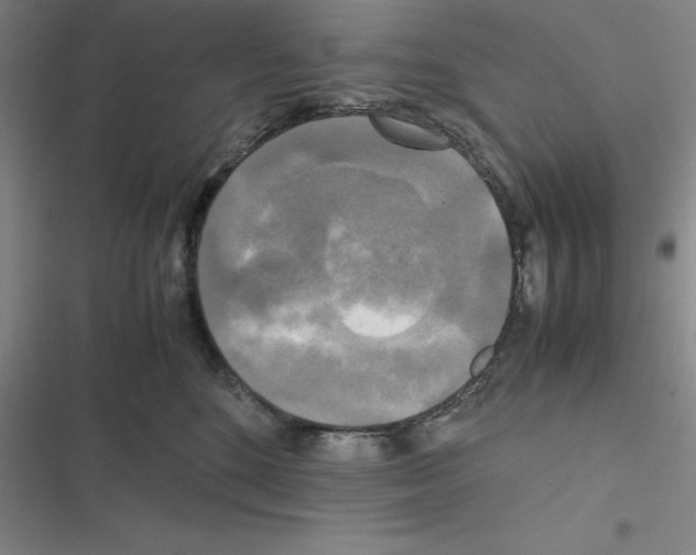 X0000116580520201001211307