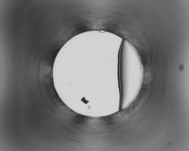 X0000116580521201001211307