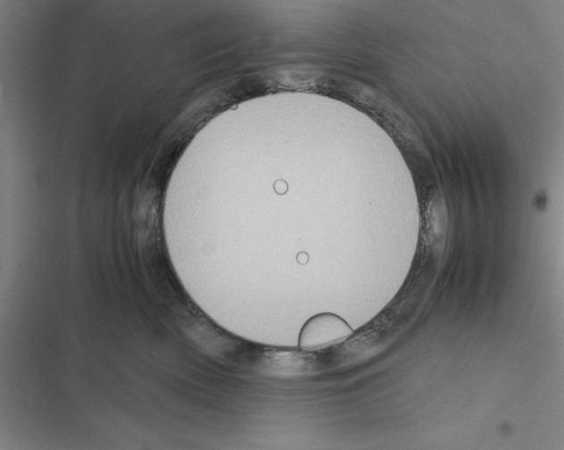 X0000116580522201001211307