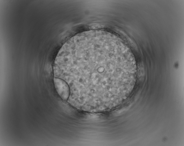 X0000116580523201001211307