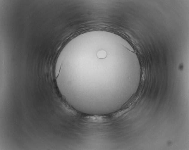X0000116580524201001211307