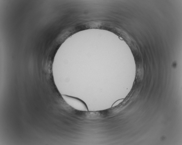 X0000116580525201001211307