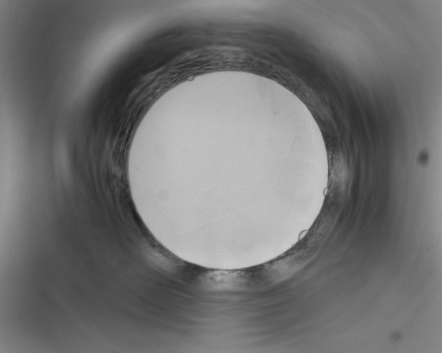 X0000116580526201001211307