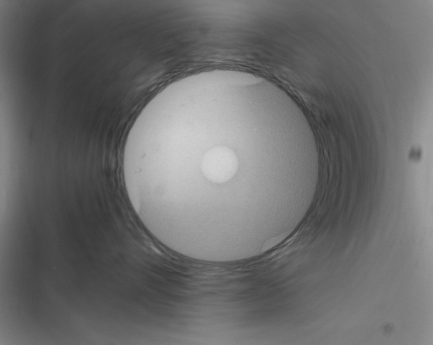 X0000116580528201001211307