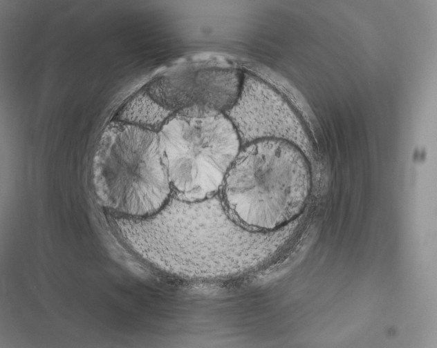 X0000116580529201001211306