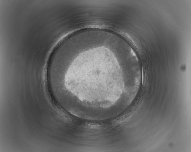 X0000116580531201001211306
