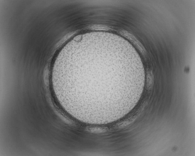X0000116580533201001211306