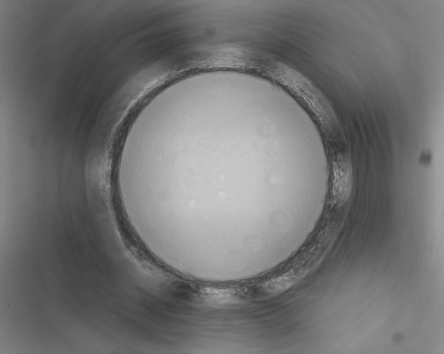 X0000116580534201001211306