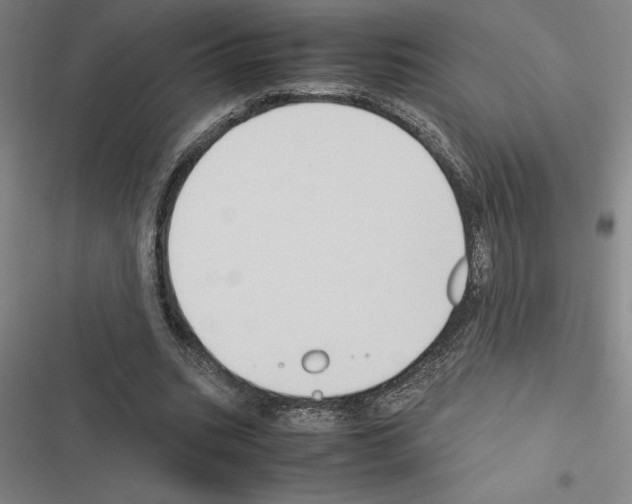 X0000116580535201001211306