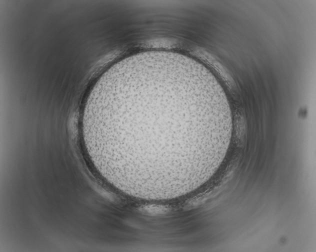 X0000116580537201001211306