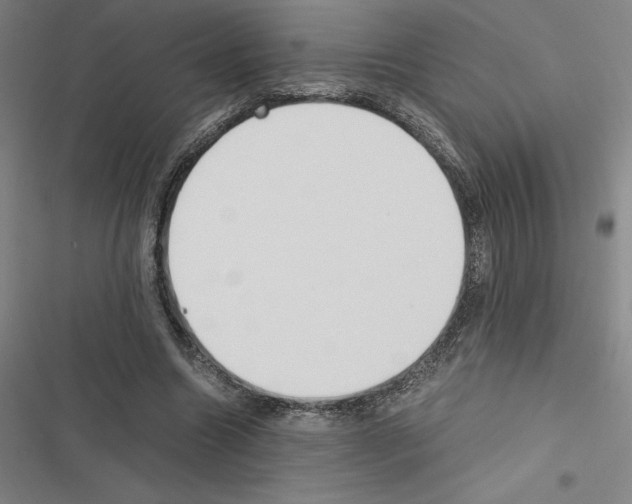 X0000116580538201001211306