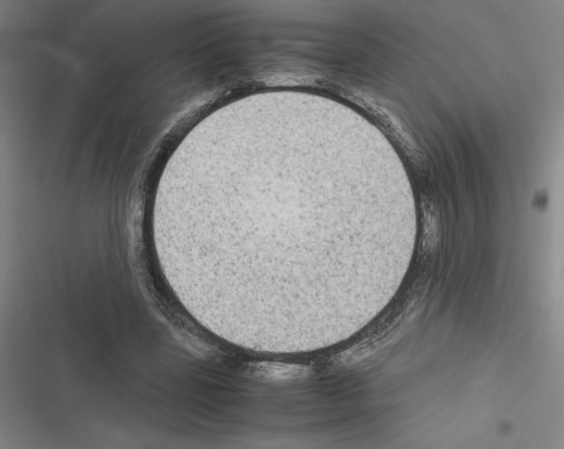 X0000116580539201001211306