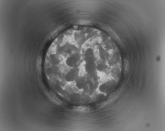 X0000116580542201001211307