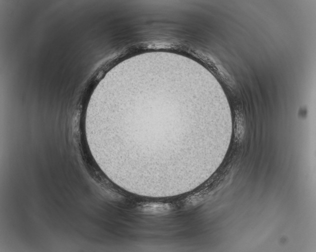X0000116580543201001211307