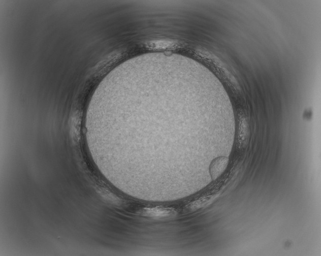 X0000116580545201001211307