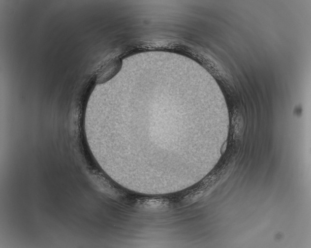 X0000116580546201001211307