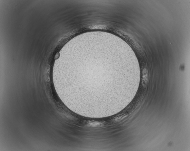X0000116580547201001211307