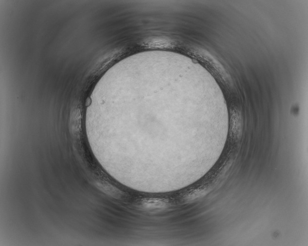 X0000116580549201001211307