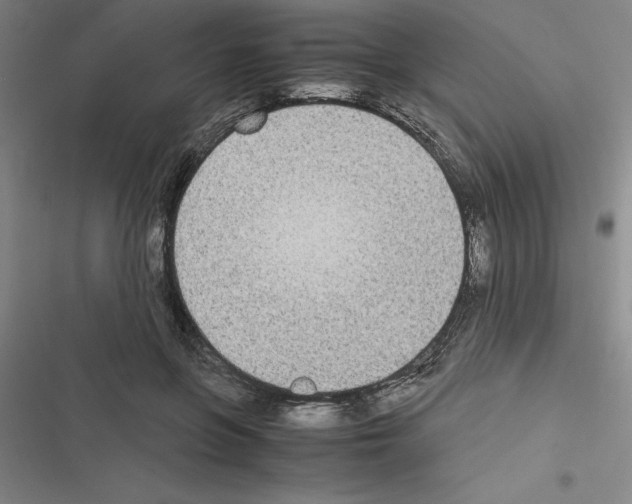 X0000116580551201001211307