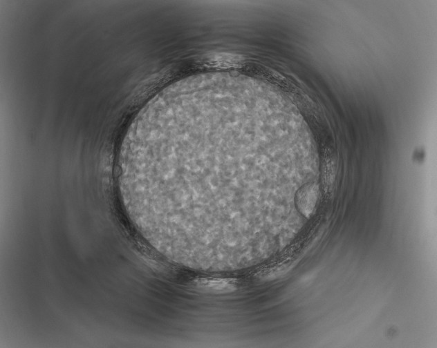 X0000116580553201001211307