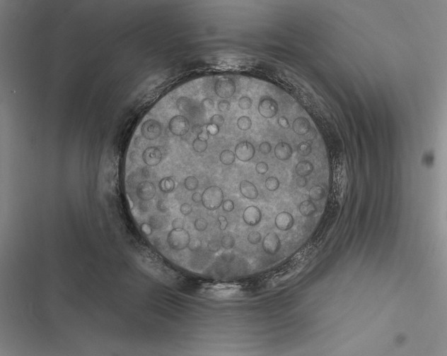 X0000116580554201001211307