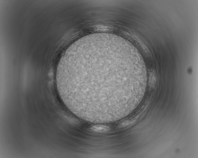 X0000116580557201001211307