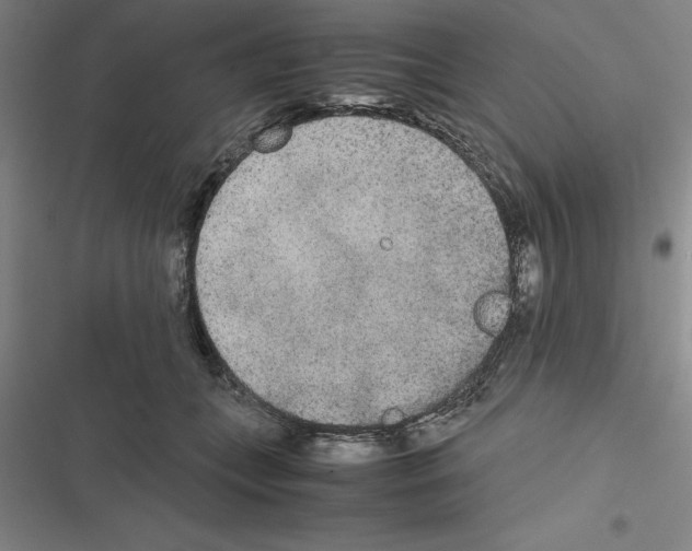 X0000116580559201001211307