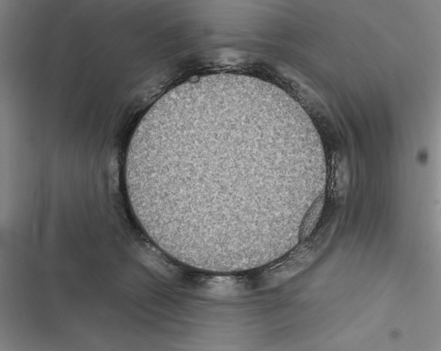 X0000116580562201001211307