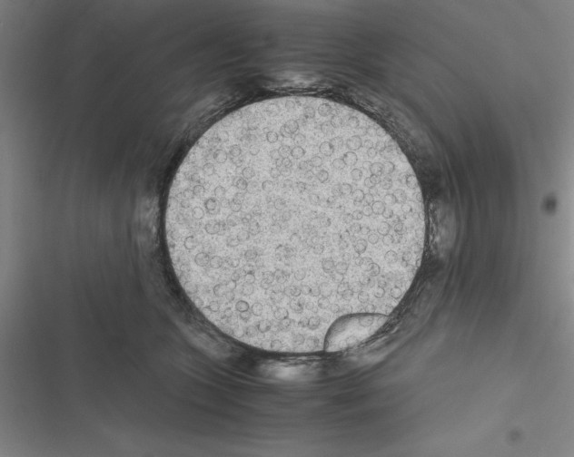 X0000116580563201001211307