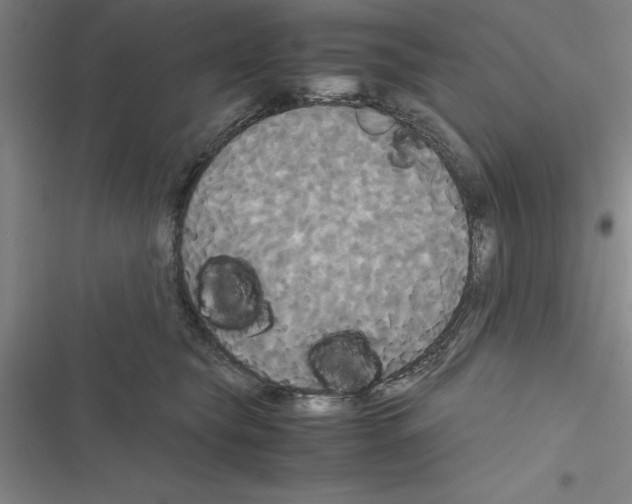 X0000116580565201001211307