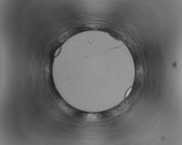 X0000116580566201001211307