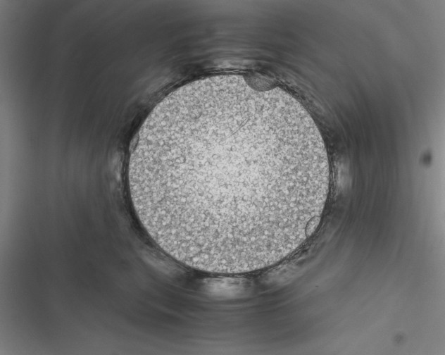 X0000116580567201001211307