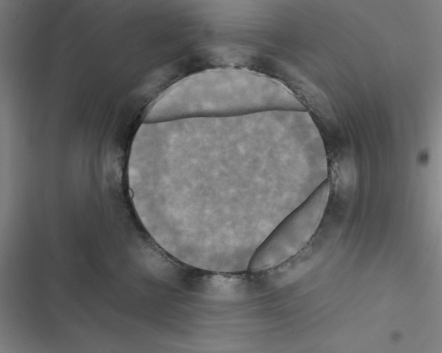 X0000116580570201001211307