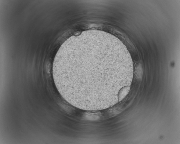 X0000116580571201001211307