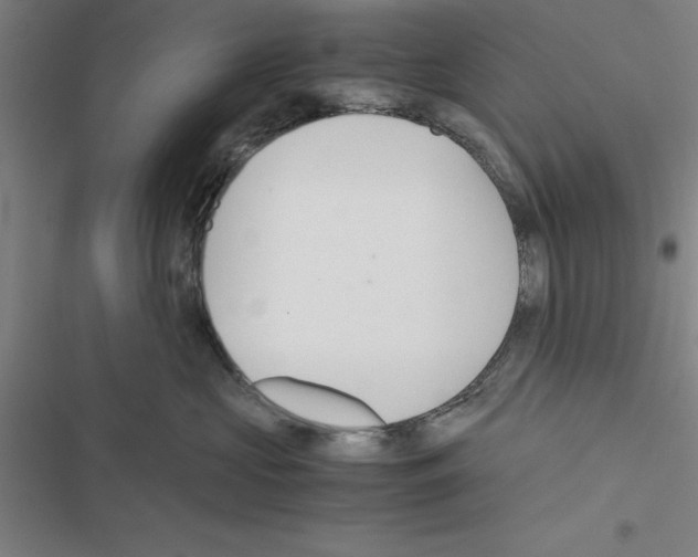 X0000116580573201001211307
