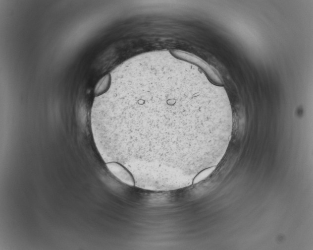 X0000116580574201001211307