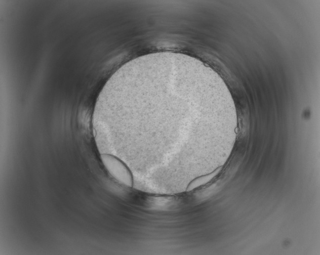 X0000116580575201001211307
