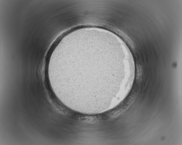 X0000116580580201001211306
