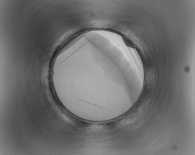X0000116580581201001211306
