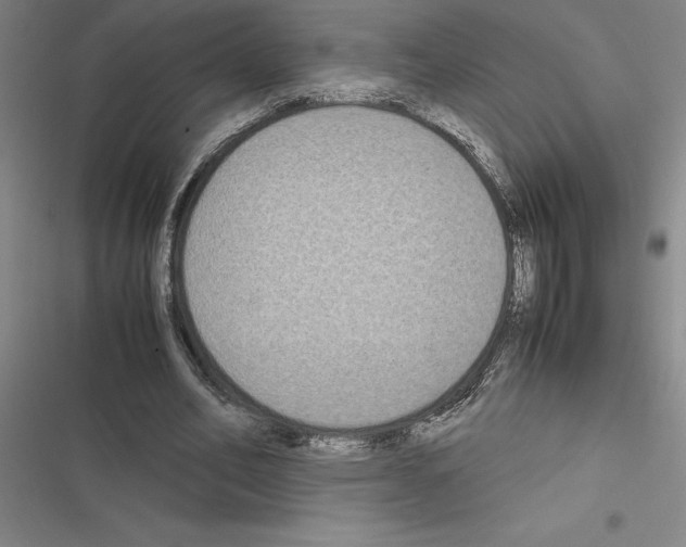 X0000116580582201001211306