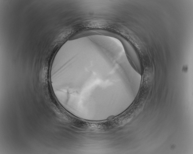 X0000116580585201001211306