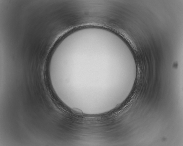 X0000116580588201001211306