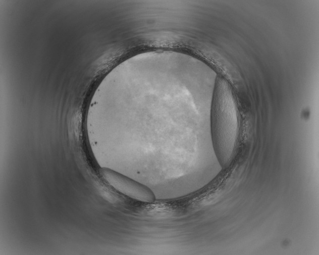 X0000116580589201001211306