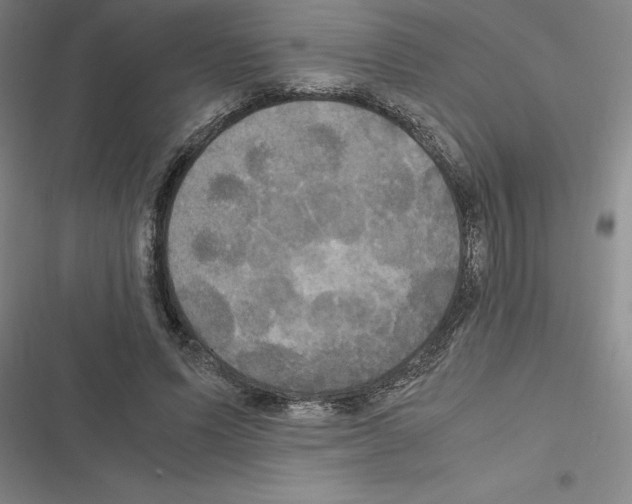 X0000116580591201001211306