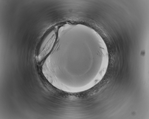 X0000116580592201001211306
