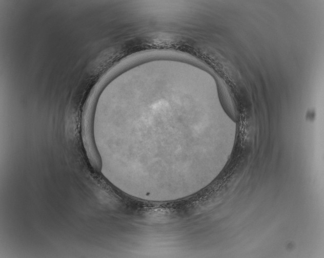 X0000116580593201001211306